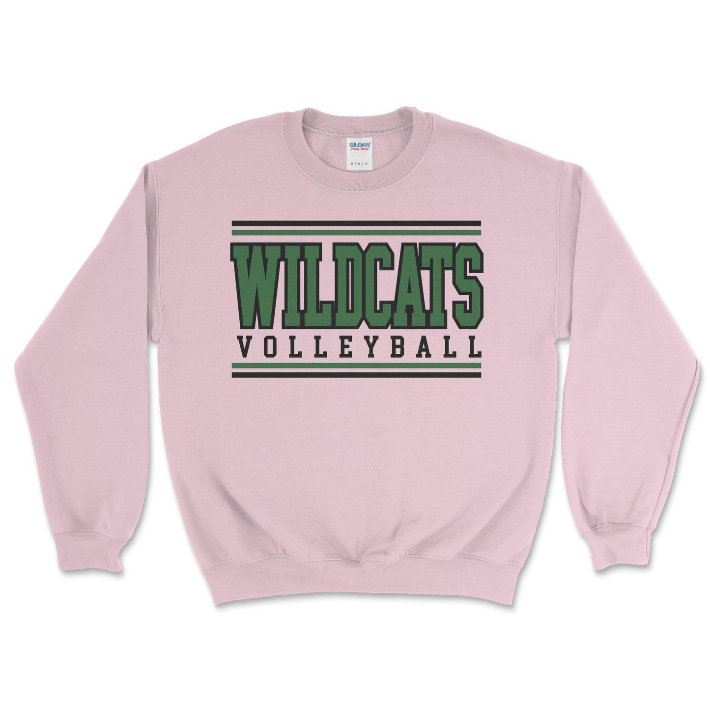 Salem Wildcat Volleyball 2026