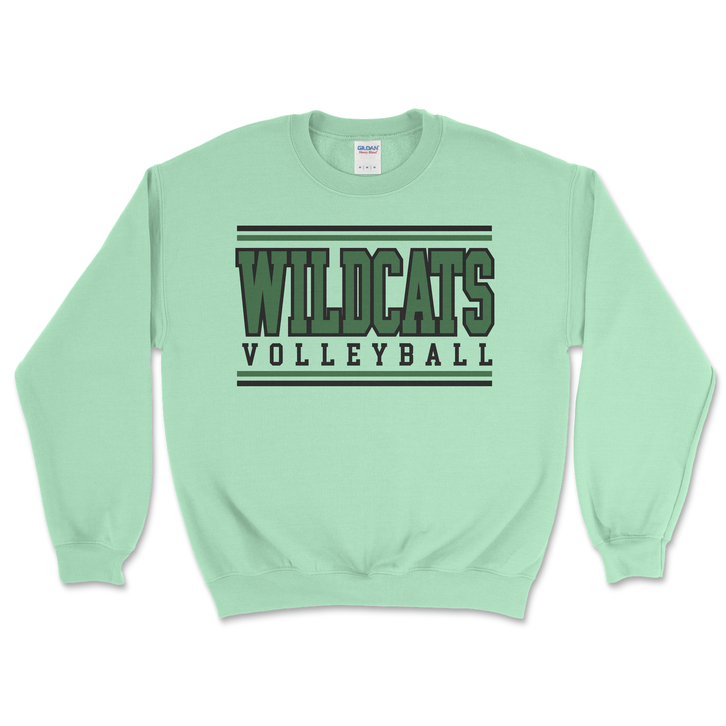 Salem Wildcat Volleyball 2026