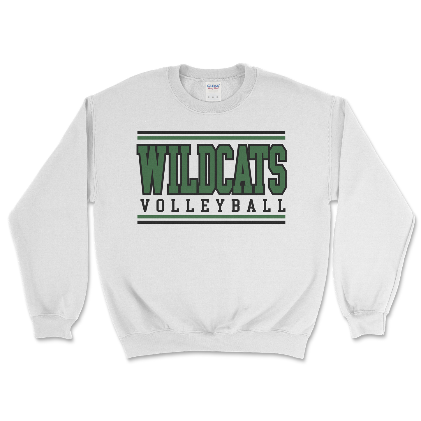 Salem Wildcat Volleyball 2026