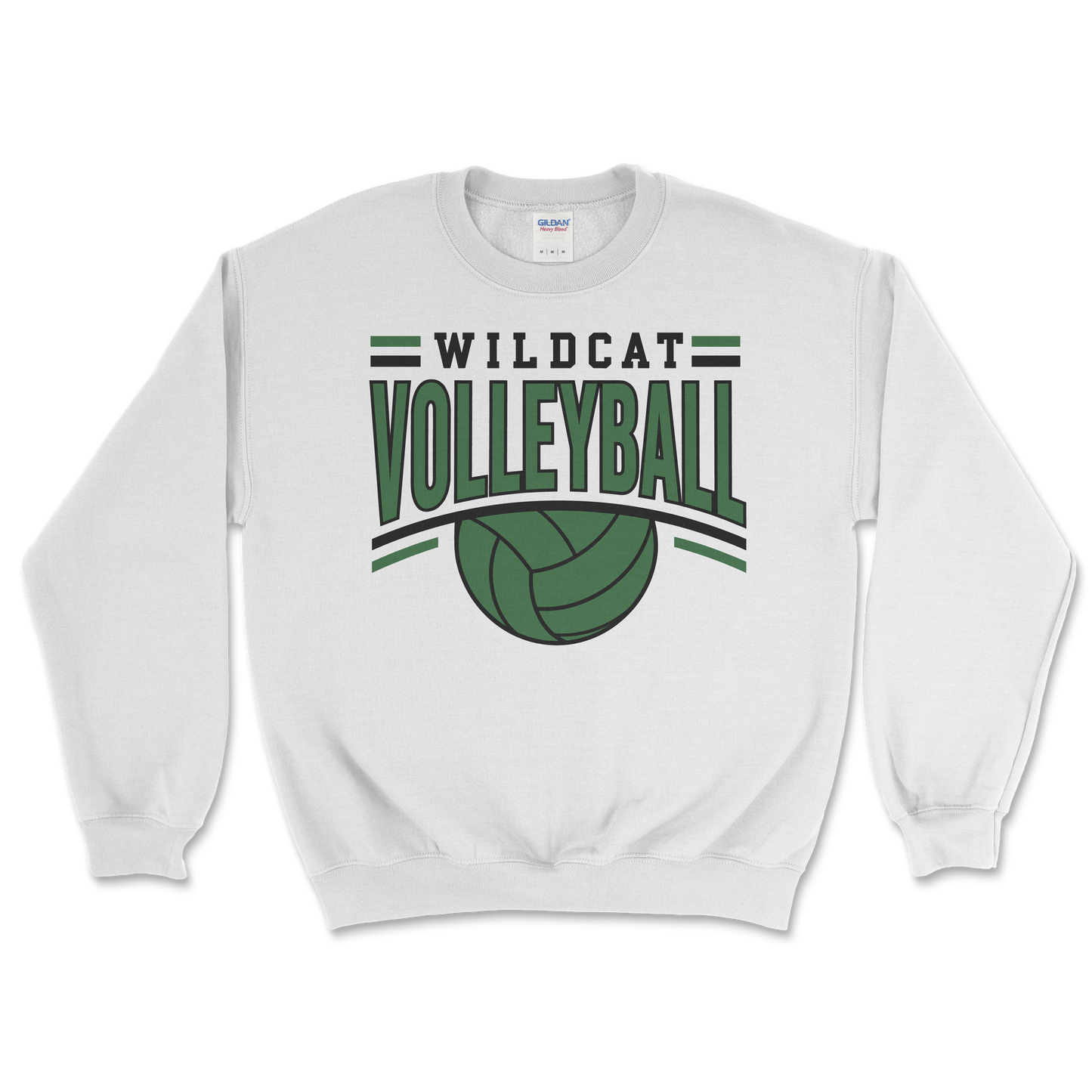 Salem Wildcat Volleyball 2026
