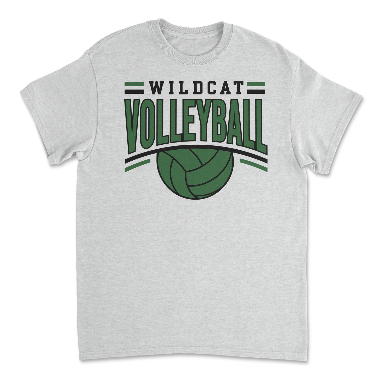 Salem Wildcat Volleyball 2026