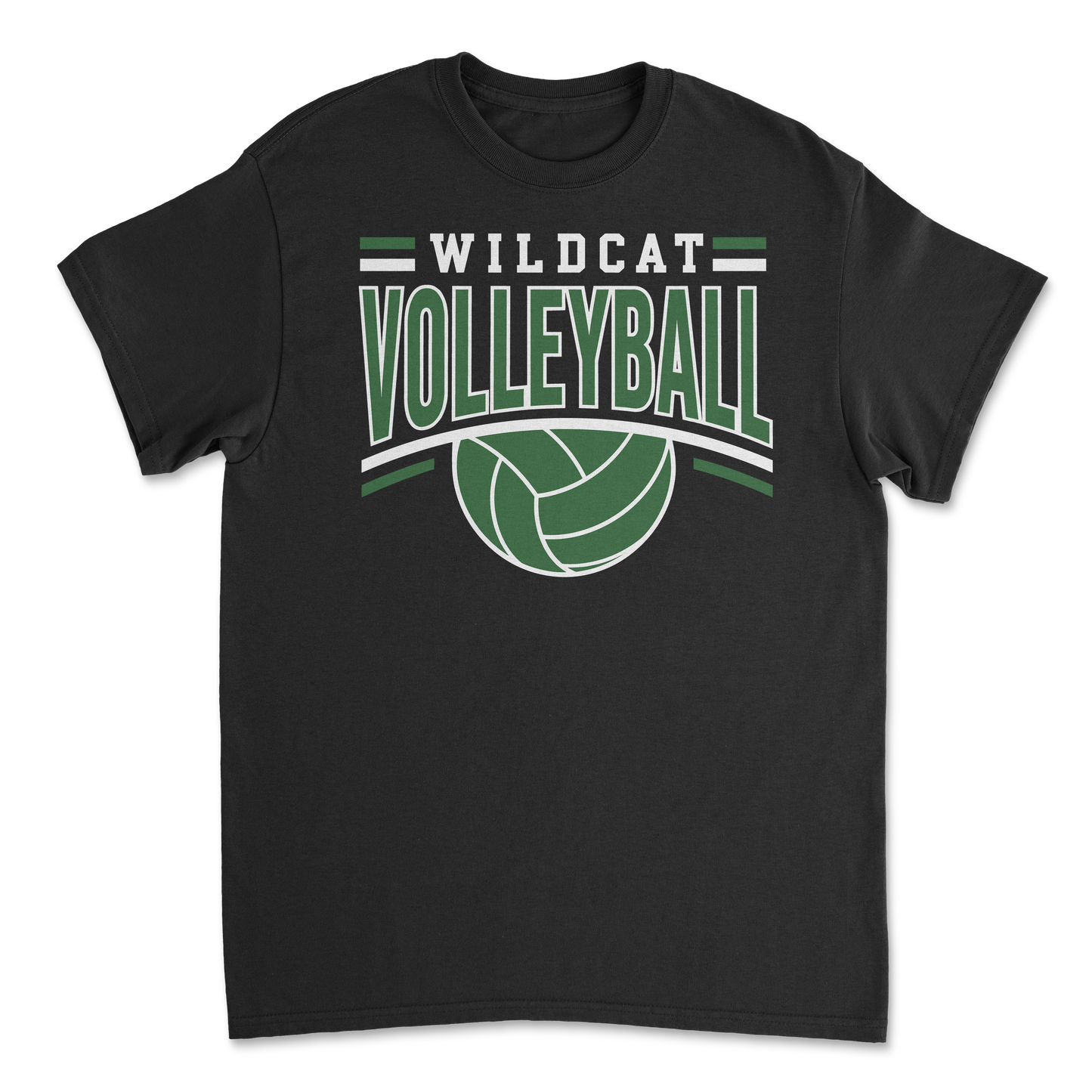 Salem Wildcat Volleyball 2026
