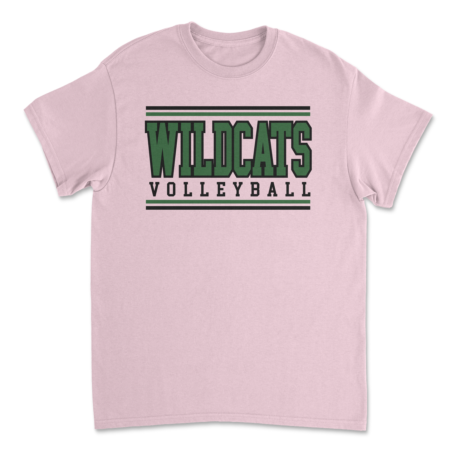 Salem Wildcat Volleyball 2026