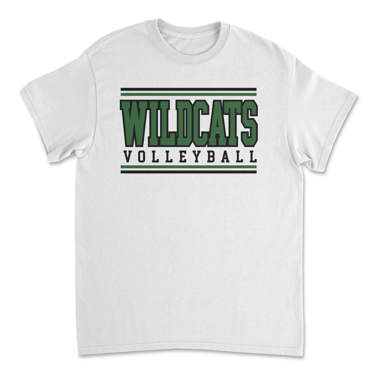 Salem Wildcat Volleyball 2026