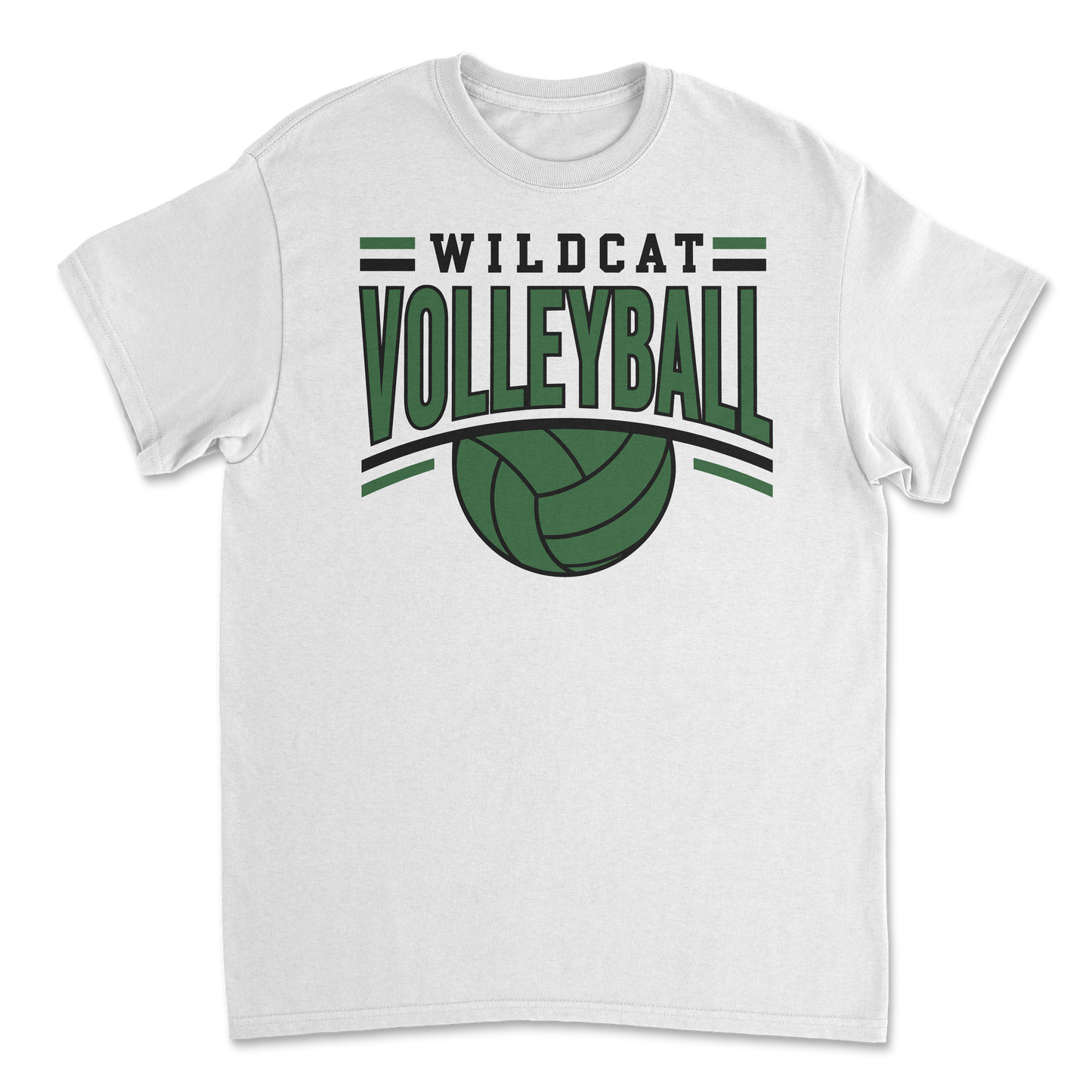 Salem Wildcat Volleyball 2026