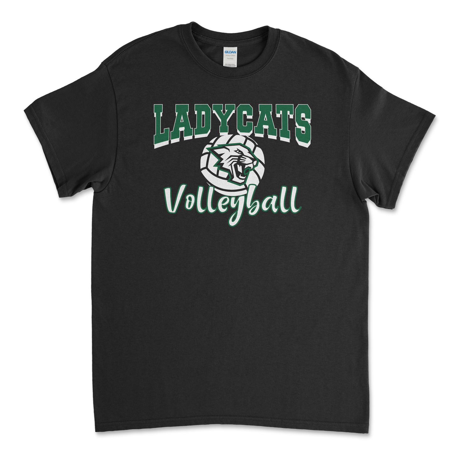 Salem Ladycats Volleyball Summer League