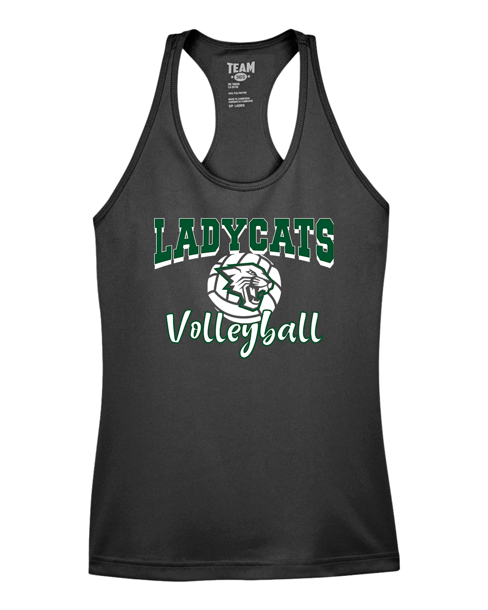Salem Ladycats Volleyball Summer League